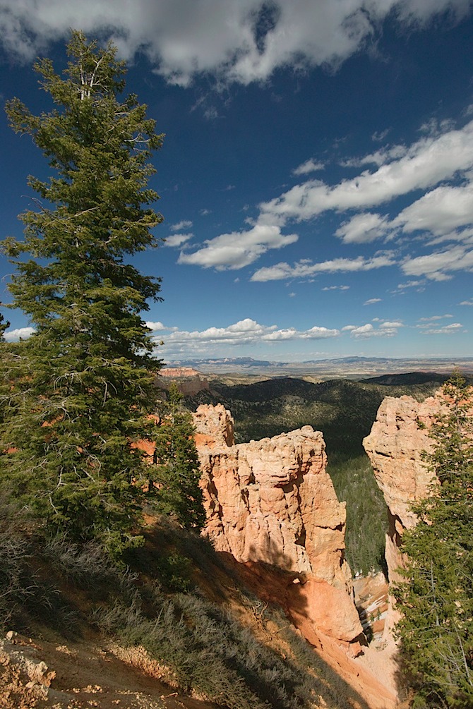 0515-Bryce-overlook-2